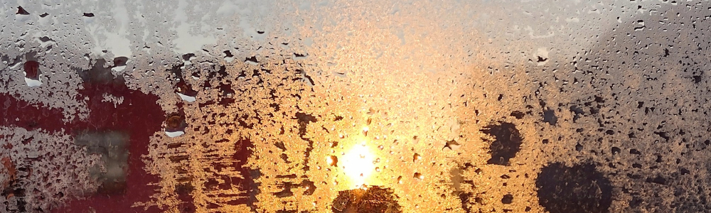 User banner image